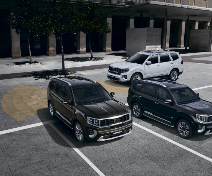 Система кругового обзора SVM